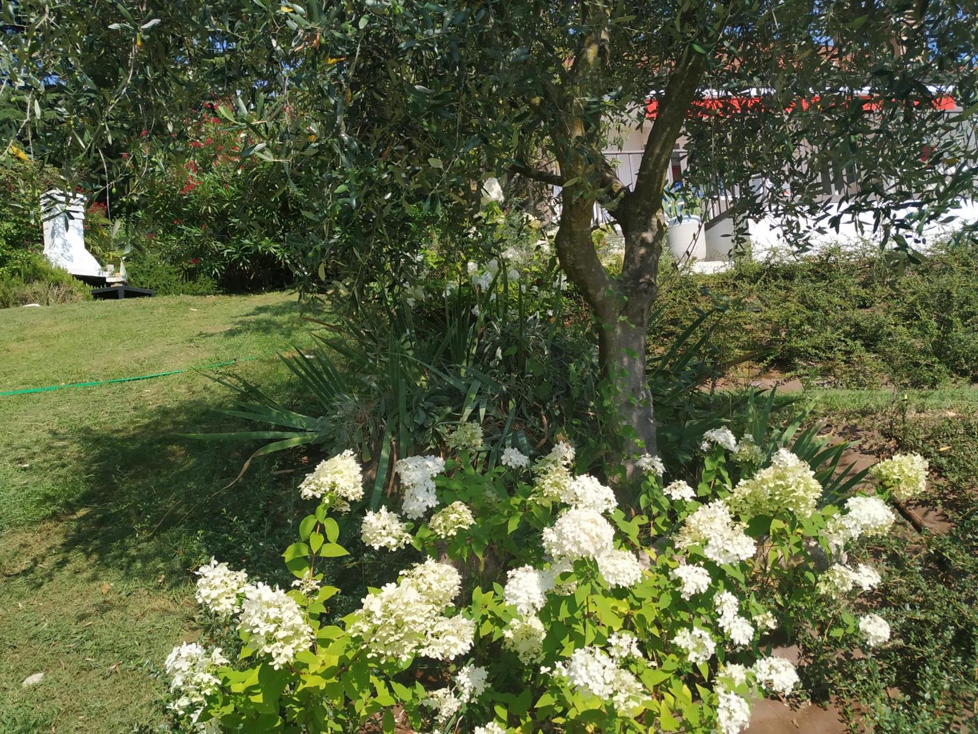 Casa Fellini Βίλα San Zeno di Montagna Εξωτερικό φωτογραφία